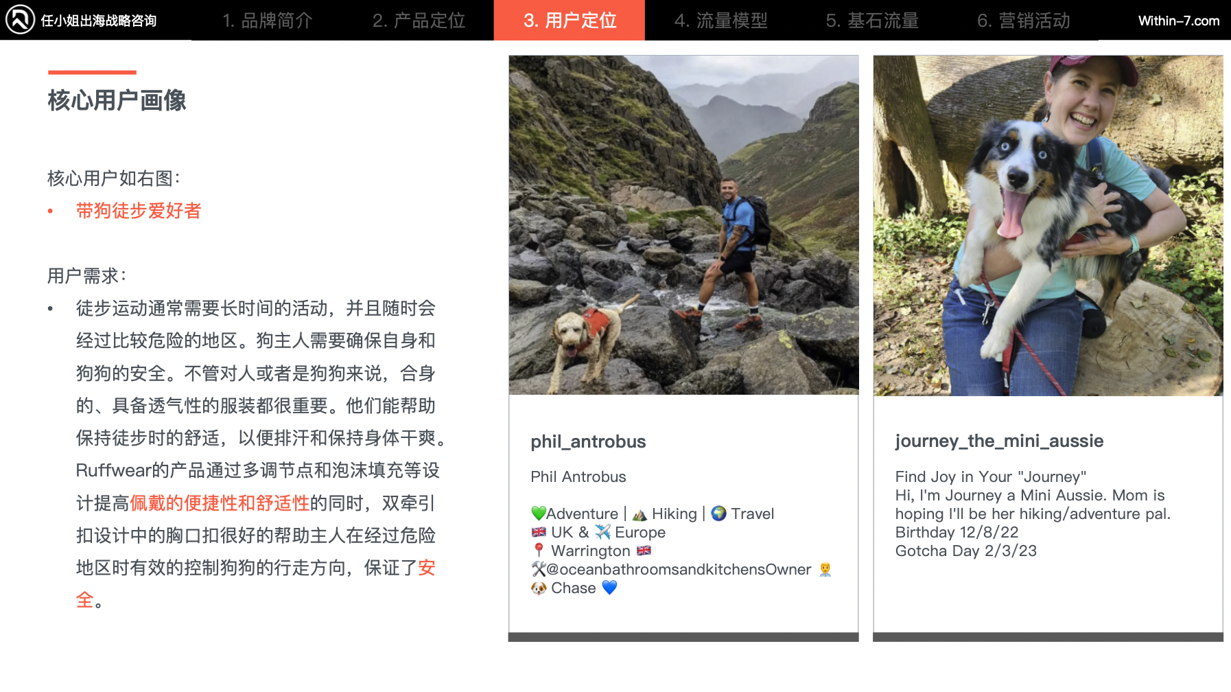 宠物市场真相：为什么别人能赚大钱，而你还在拼价格？｜全球TOP宠物品牌拆解