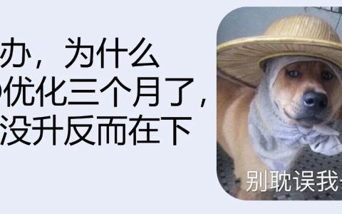 怎么办，为什么SEO优化三个月了，排名没升反而在下降？