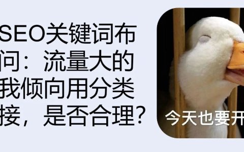 网站SEO关键词布局疑问：流量大的词，我倾向用分类页承接，是否合理？
