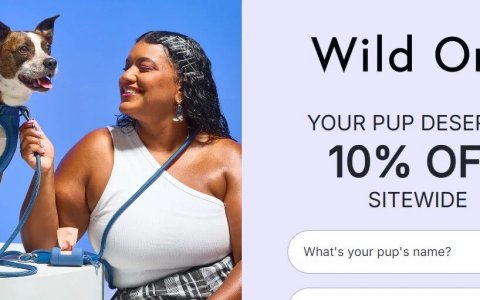 如何靠一条600元的狗绳年赚3000万美金？这个网红宠物品牌把Z世代拿捏死了