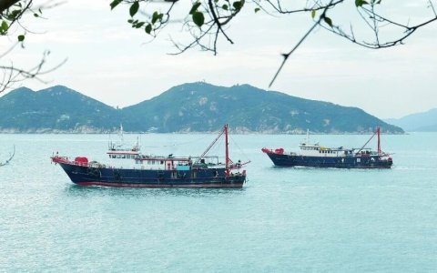 亚马逊联盟（3）：2025年业绩崩塌，税务调整，2026年如何用影响者+站外营销再破局？