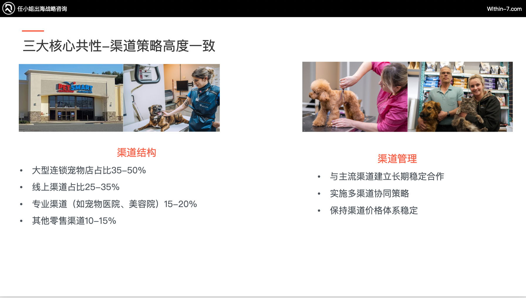 宠物市场真相：为什么别人能赚大钱，而你还在拼价格？｜全球TOP宠物品牌拆解