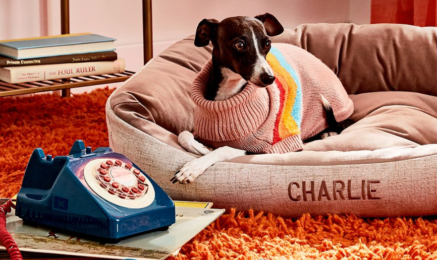 宠物市场真相：为什么别人能赚大钱，而你还在拼价格？｜全球TOP宠物品牌拆解