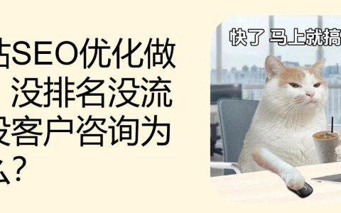 网站SEO优化做了，没排名没流量没客户咨询为什么？