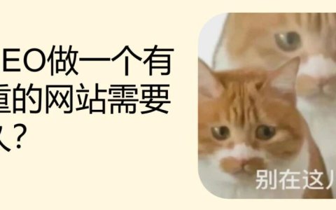 用SEO做一个有权重的网站需要多久？