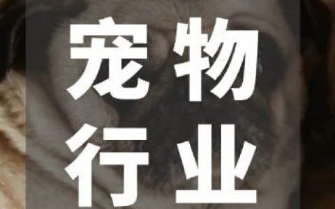 宠物市场真相：为什么别人能赚大钱，而你还在拼价格？｜全球TOP宠物品牌拆解