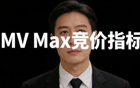 GMV Max竞价指标！