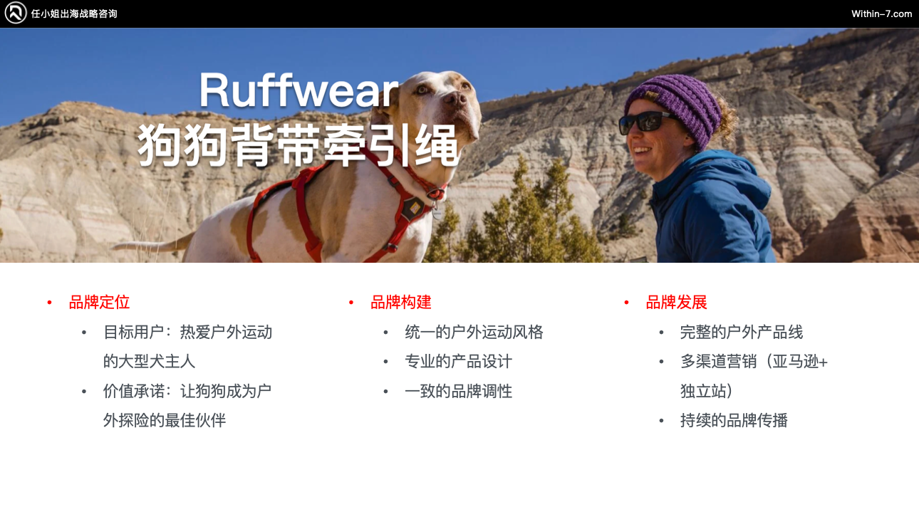 宠物市场真相：为什么别人能赚大钱，而你还在拼价格？｜全球TOP宠物品牌拆解