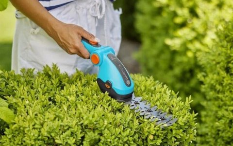 庭院经济新风口，如何抓住DIY园艺爆品？