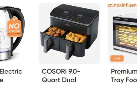 霸榜欧美！这个深圳品牌如何靠空气炸锅征服欧美用户？