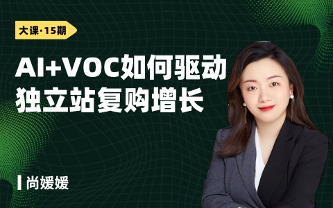 AI+VOC 如何驱动独立站复购增长