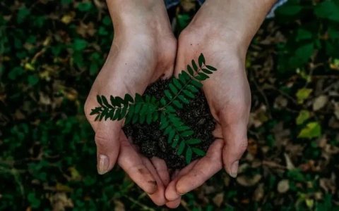 2026年亚马逊绿标实操指南：32个高频问答全解析