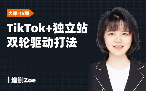 TikTok+独立站双轮驱动打法