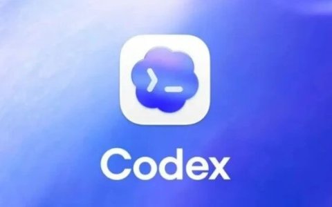 Codex简单易用 高性价比多种API搭配