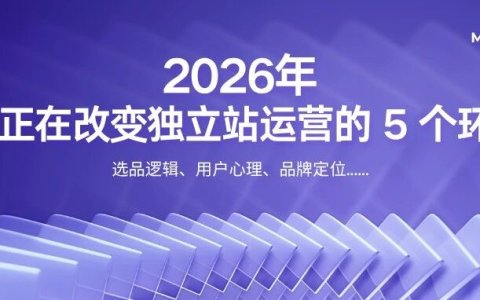 AI 正在改变独立站运营的 5 个环节