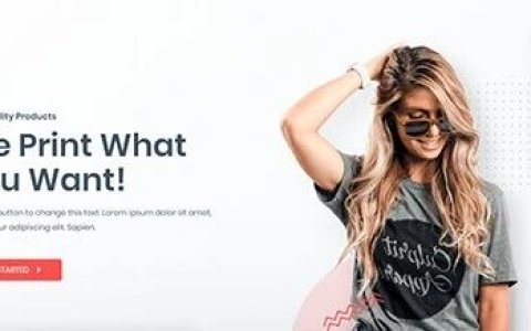 AI 建站：新手适合 Codex 接管 WordPress