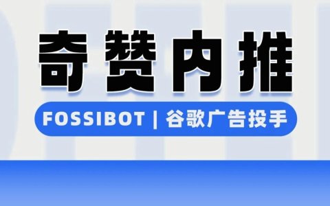 【奇赞内推】FOSSIBOT | 户外储能 - 谷歌广告投手