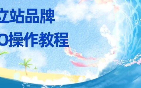 独立站品牌GEO操作教程：如何一步步训练 AI？详解
