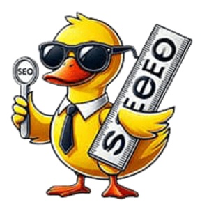 鸭老师SEO的头像