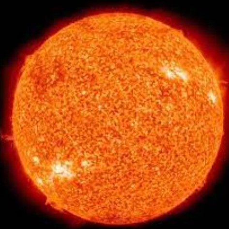 跨境老狗Sunny弟的头像