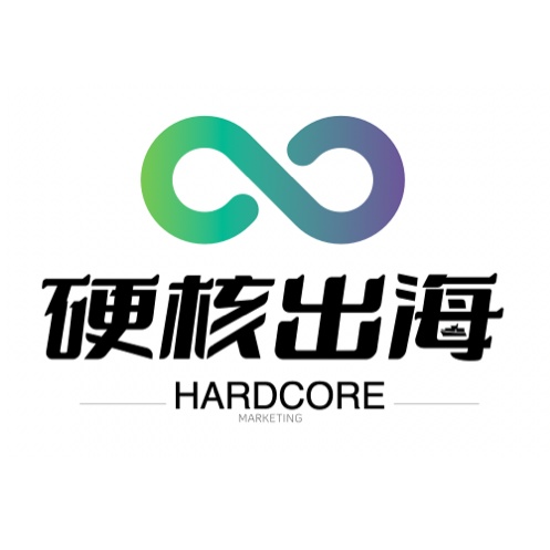 硬核出海的头像